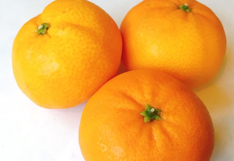 Citrus fruit is a low calorie treat as part of a healthy diet