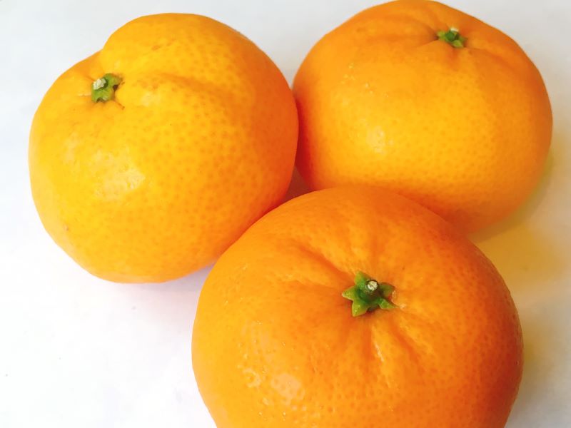 Citrus fruit is a low calorie treat as part of a healthy diet