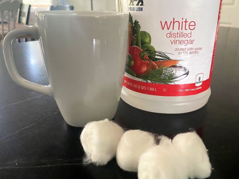 Home remedies for fire ant bites that really work Convos with Karen