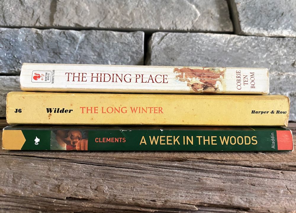 Stack of best books for teens sitting on a fireplace mantel with stone background.