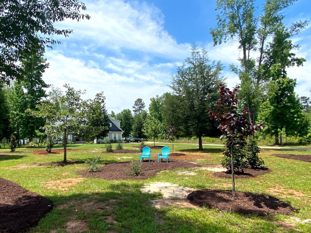 Trees with mulch in front yard with two blue adirondack chairs